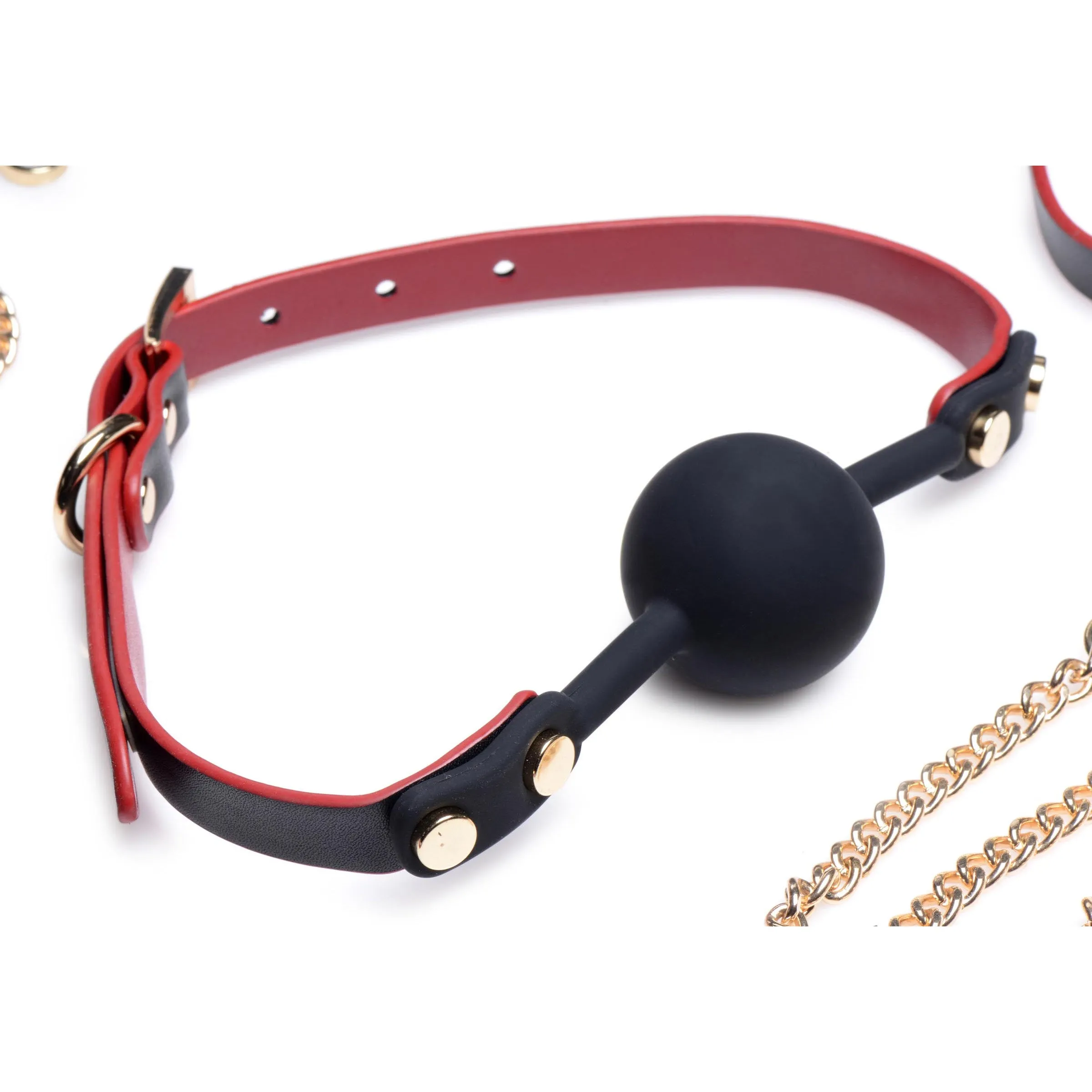 Bondage To Go Black and Red Bow Bondage Set with Carry Case