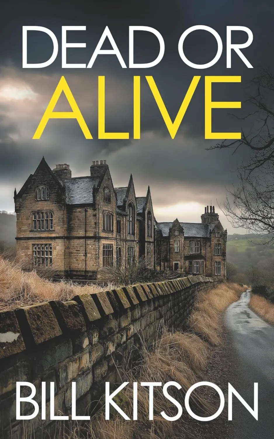 DEAD OR ALIVE an addictive and heart-pounding British crime thriller (Detective Mike Nash) Paperback  May 19, 2025